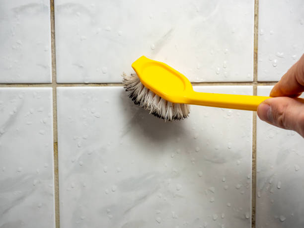 Best Emergency Mold Remediation in Salado, TX