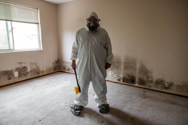 Best Mold Remediation for Specific Building Types in Salado, TX